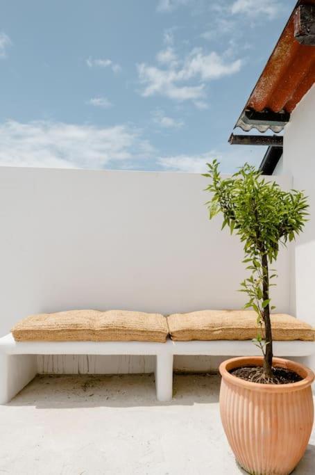 Garage - Piscine Et Terrasse